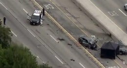 Cop hit by traffic among 2 killed in multi-car accident on major US road sparking southbound closure along 405 Freeway