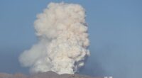 Cornered Iran could unleash sinister attacks on US soil as it runs out of options against Israel, insiders say