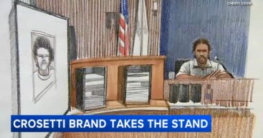 Crosetti Brand, accused in Edgewater, Chicago stabbing death of Jayden Perkins, takes stand as own witness, attorney
