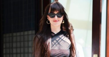 Dakota Johnson Wears Naked Dress Following Chris Martin Split Reports
