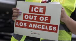 David Huerta Released on Bond for Attempted Obstruction of ICE, Cosplays as Trump's Political Prisoner