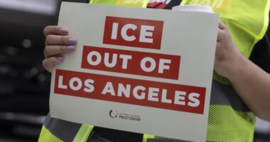 David Huerta Released on Bond for Attempted Obstruction of ICE, Cosplays as Trump's Political Prisoner