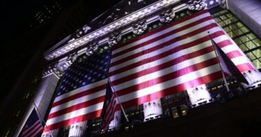 Democrats Try to Reclaim the American Flag, Prove They Have Zero Understanding of 'For Which It Stands'