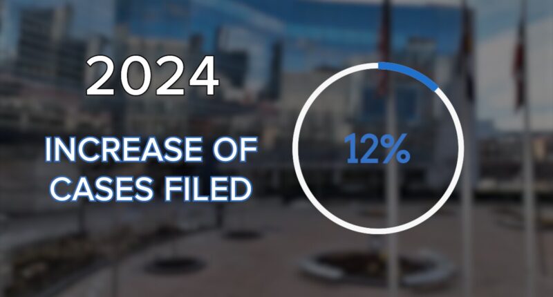 Denver DA Domestic Violence caseload increase