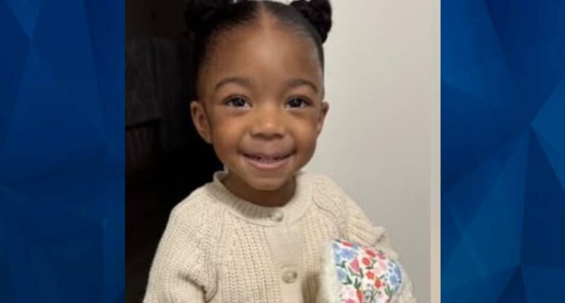 Developing: Police Cancel AMBER ALERT for 3-Year-Old Delaware Tot, Homicide Investigation Underway After Mother Files False Abduction Report