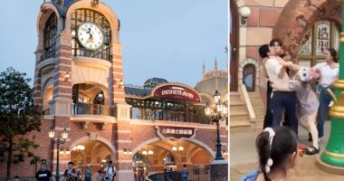 Disneyland China visitors caught on camera brawling over apparent line-cutting dispute