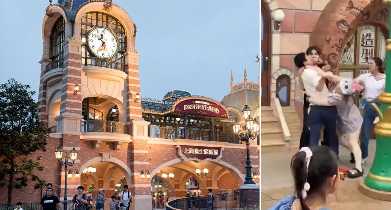 Disneyland China visitors caught on camera brawling over apparent line-cutting dispute