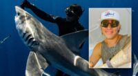Diver who freed sharks gets Trump pardon after felony conviction stuns him: 'My heart sank'
