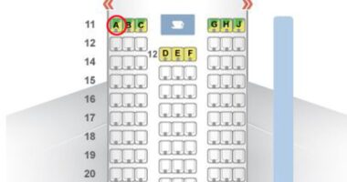 Do 'miracle seats' whose occupants can survive a plane crash exist? Experts reveal all after Air India's sole survivor escaped from 11A