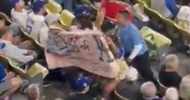 Dodgers fan protesting ICE removed from game by security hours after agents descended on stadium