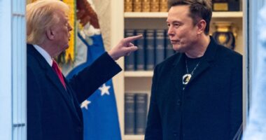 Donald Trump slams ‘big-time drug addict’ Elon Musk as toxic feud intensifies