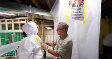 EPA will revisit Biden-era ban on the last type of asbestos used in US