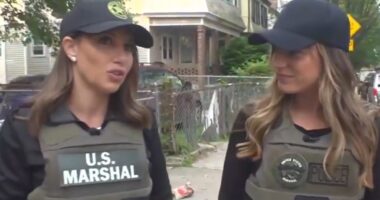 EXCLUSIVE: Fox hits streets of NJ with federal taskforce led by Alina Habba: 'You can run but you can't hide'
