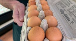 Egg recall over salmonella outbreak linked to several states, including Illinois, California, Arizona, Indiana