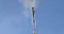 Eight die as hot-air balloon bursts into flames and plunges to the ground in Brazil - after 14 jumped to safety before craft burned completely