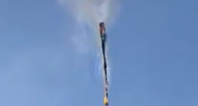 Eight die as hot-air balloon bursts into flames and plunges to the ground in Brazil - after 14 jumped to safety before craft burned completely