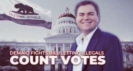 Election Integrity Controversy Explained in Detail