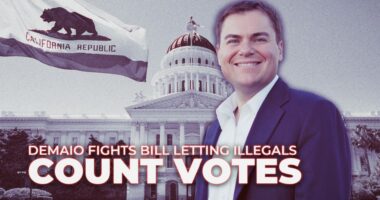 Election Integrity Controversy Explained in Detail