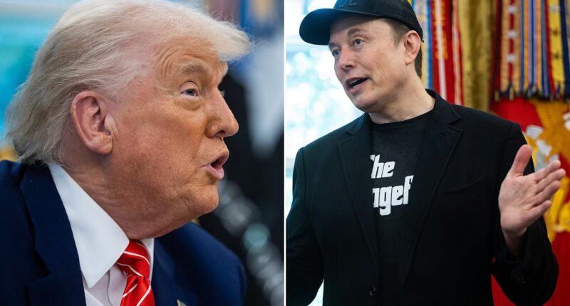 Elon Musk accelerates war over Trump's big, beautiful bill and calls to 'fire' any politician who backs plan