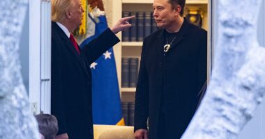 Elon Musk drops Epstein 'bomb' in worst slur yet against Trump as their public break-up turns ugly