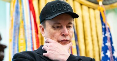 Elon Musk makes stunning Epstein U-turn after taking on Trump in war that cost him $27billion