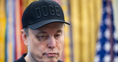 Elon Musk posts drug test results after alleged addiction ruined his gig at Trump's White House