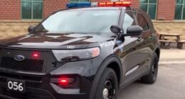 Elyria police capture suspect who allegedly stabbed victim during argument