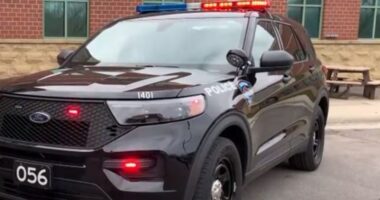 Elyria police capture suspect who allegedly stabbed victim during argument