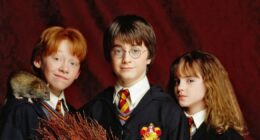 Everything to Know About HBO's 'Harry Potter' TV Show: Casting and More