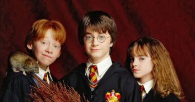 Everything to Know About HBO's 'Harry Potter' TV Show: Casting and More