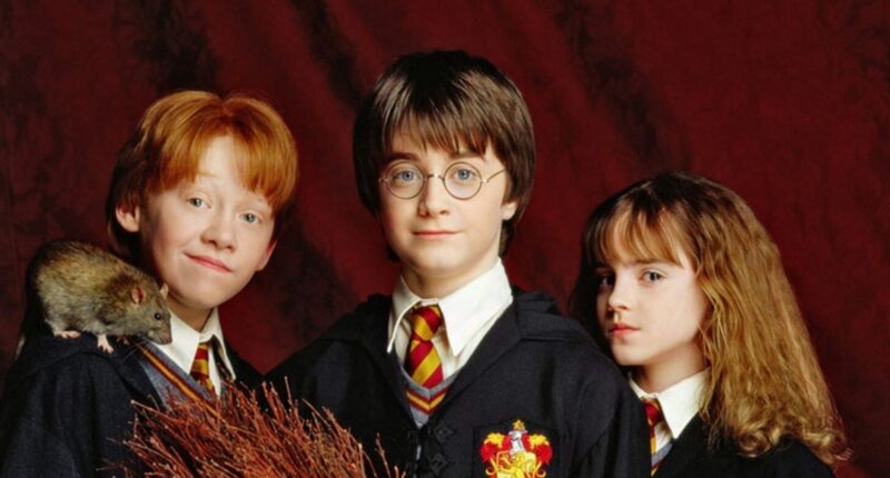 Everything to Know About HBO's 'Harry Potter' TV Show: Casting and More