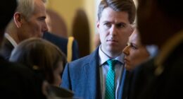Ex-Homeland Security official Taylor fights back against Trump's 'unprecedented' investigation order