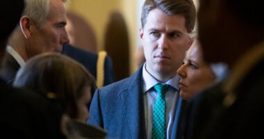 Ex-Homeland Security official Taylor fights back against Trump's 'unprecedented' investigation order