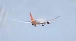Expert's theory on terrifyingly simple mistake he thinks Air India co-pilot made that caused crash and killed 265