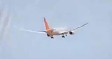 Expert's theory on terrifyingly simple mistake he thinks Air India co-pilot made that caused crash and killed 265