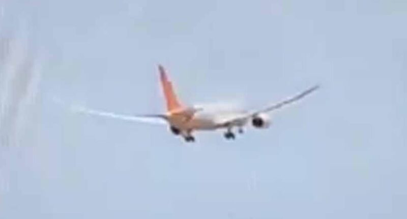 Expert's theory on terrifyingly simple mistake he thinks Air India co-pilot made that caused crash and killed 265