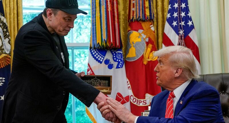 Explosive truth behind Trump and Musk's 'abusive' bromance collapse... and which billionaire was secretly the CLINGY one