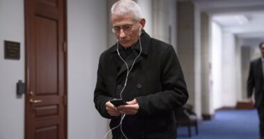 FBI Director Kash Patel announces Covid breakthrough after seizing Anthony Fauci's phones and hard drives