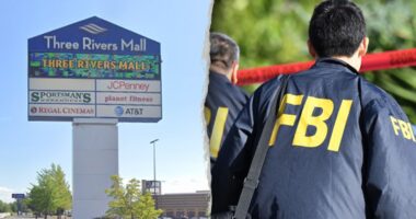 FBI thwarts teen's alleged 'serious' mall attack plot involving explosives, gunfire