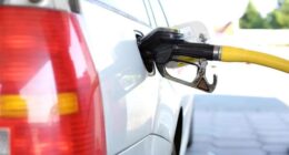 Florida gas prices expected to drop leading up to holiday weekend, survey says