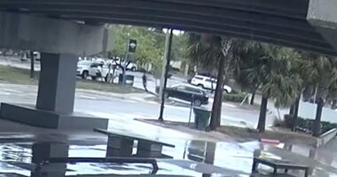 Florida man violently hit by SUV, police say road rage sparked the incident