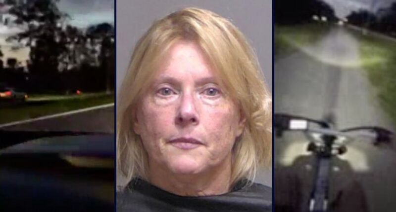 Florida woman driving SUV allegedly chased boy on bike path