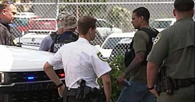 Florida’s Operation Dragon Eye rescues dozens of ‘critically missing’ children in massive sting