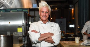 Food Network star Anne Burrell's possible cause of death indicated by 911 call