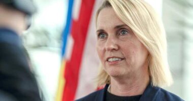 Former US ambassador to Ukraine who resigned in protest launches run for Congress in Michigan