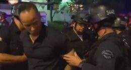 Frantic moment CNN reporter is hauled away by cops live on air at LA protests as anchor screams ‘what’s going on?!’