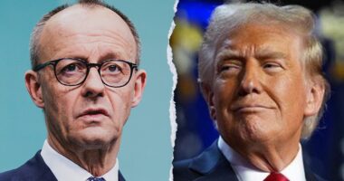 Germany's Merz to 'adapt' to Trump during high-stakes meeting on tariffs, defense