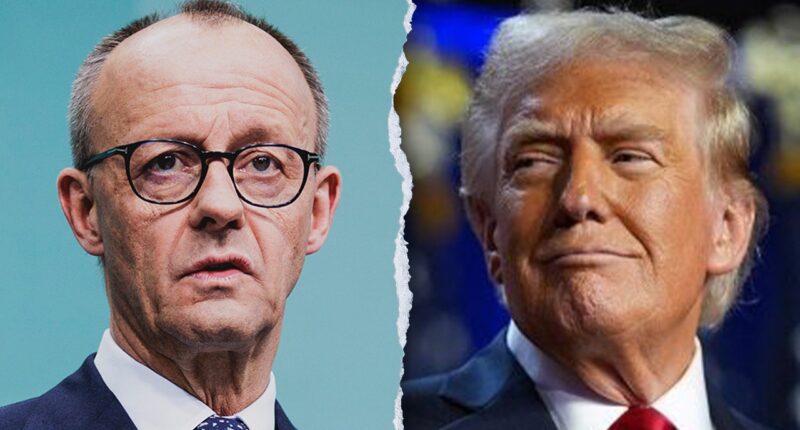 Germany's Merz to 'adapt' to Trump during high-stakes meeting on tariffs, defense