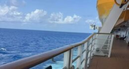 Girl ‘falls overboard from 4th deck of Disney Dream cruise ship’ forcing dad to jump into water after her