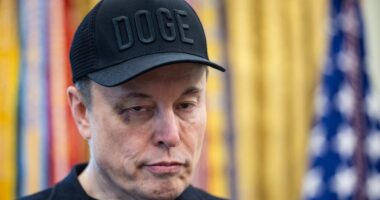 Gory details of Elon Musk's 'rugby tackle' of Scott Bessent spill out as White House leaks escalate